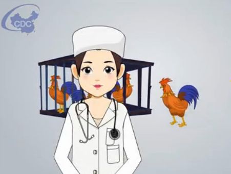 如何预防人感染H7N9禽流感