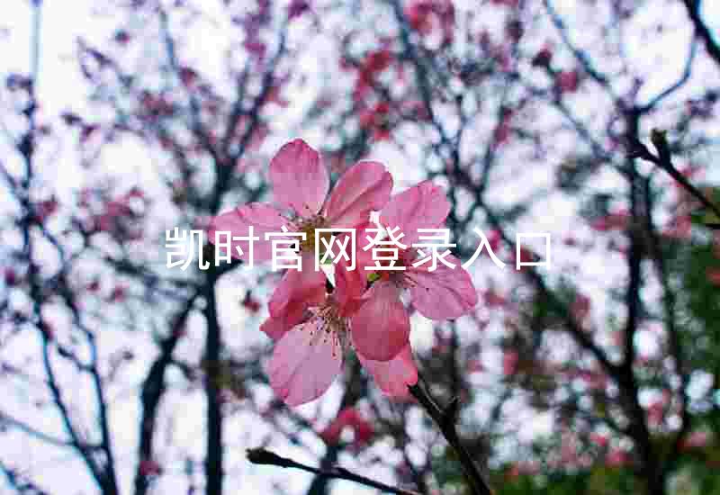 凯时官网登录入口